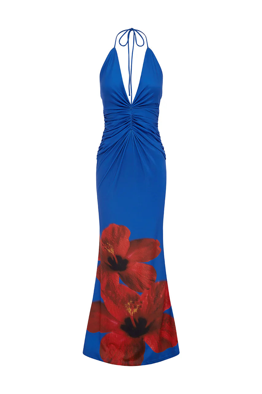 Brit & Boho™ I Raven Primrose Maxi Dress