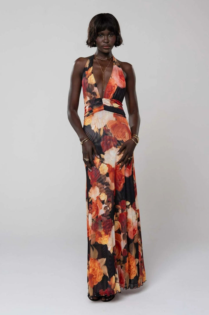 Camoni Polka Dot Diary Maxi Dress